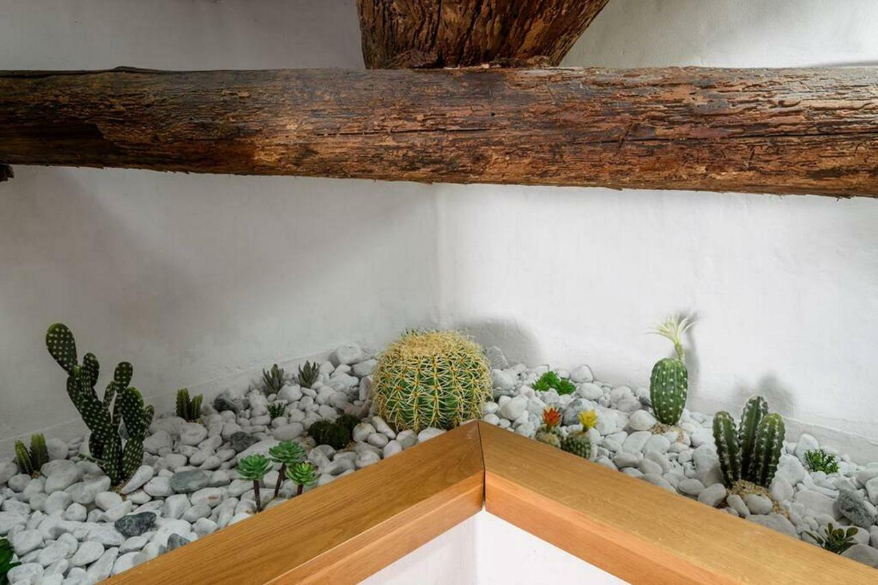 דירות Penthouse In Siena Near Piazza Del Campo מראה חיצוני תמונה